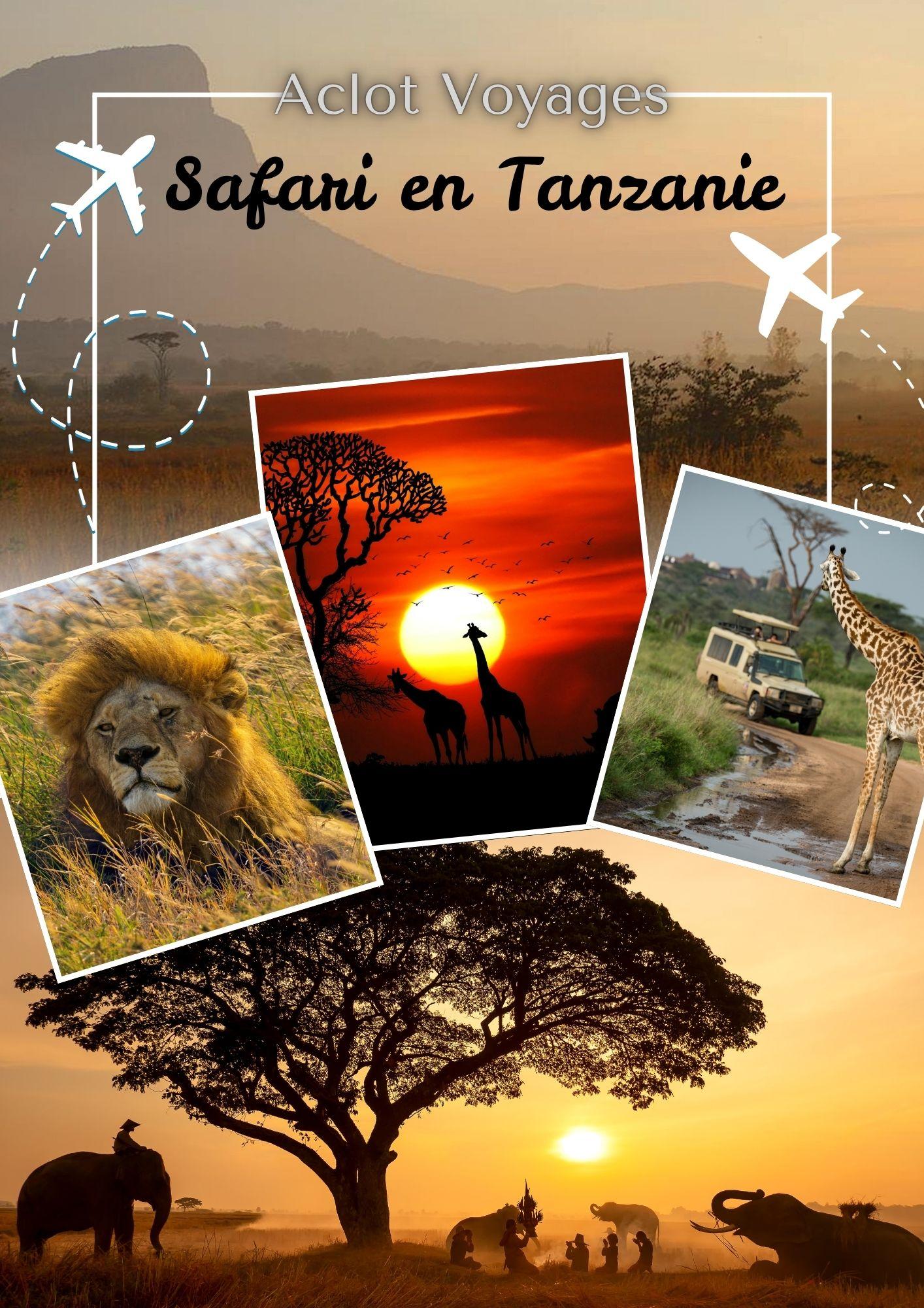 Safari Tanzanie | Aclot Voyages, By Jessica